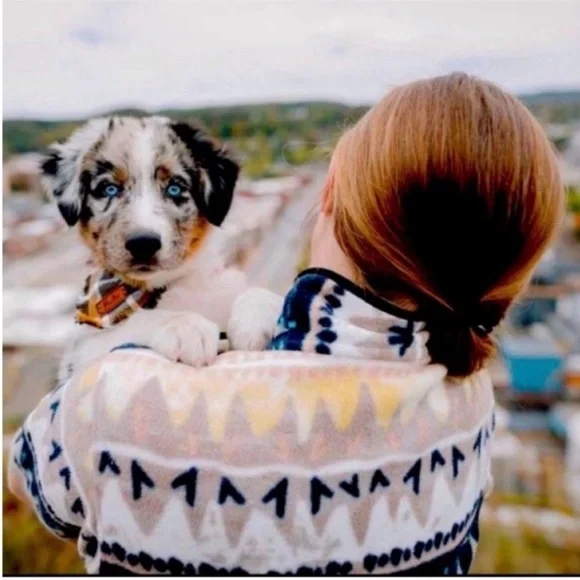 Patagonia Snap-T Fleece Synchilla Pullover Bandicoot
Marrow Grey - Picture 11 of 14